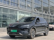 BYD PLUS 2024
