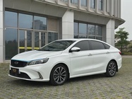 Geely Binrui 2021