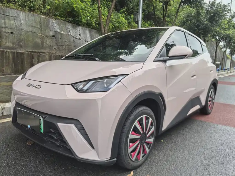 BYD Seagull