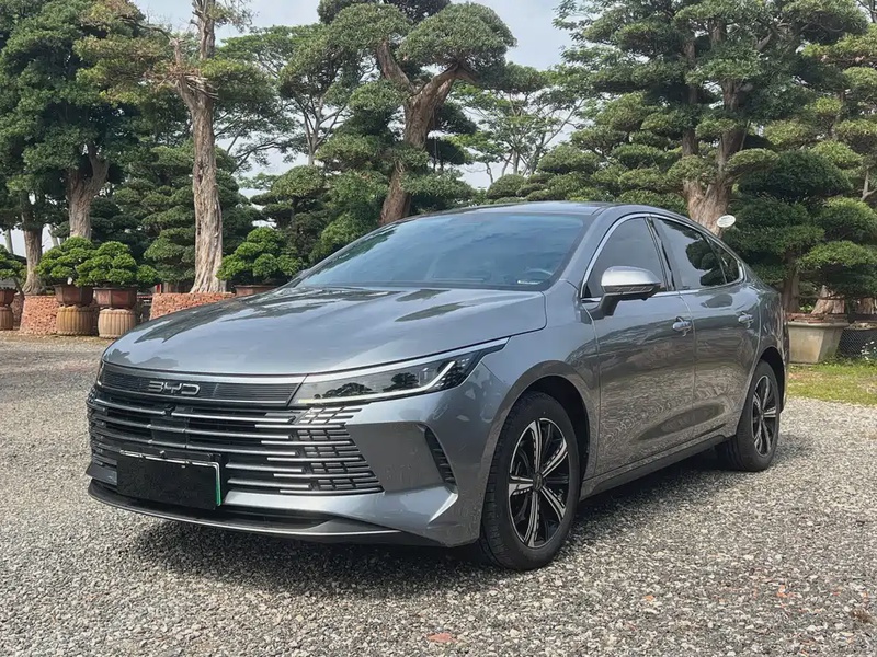 BYD Destroyer