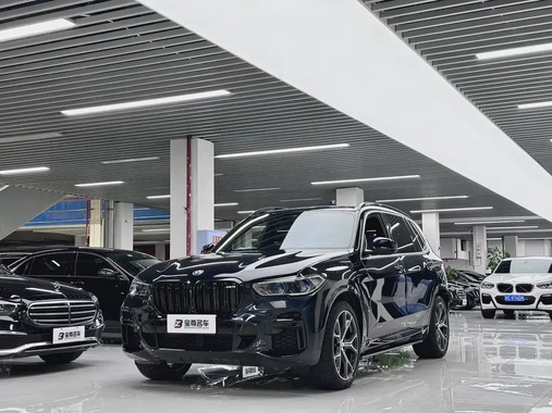 BMW X5 2022