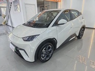 BYD Seagull 2025