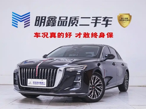 Hongqi H5 2024
