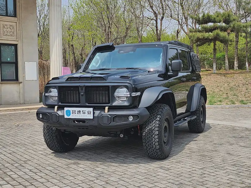 Tank 300