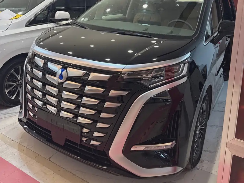 Denza D9