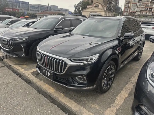 Hongqi HS5 2021