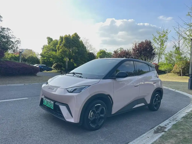 BYD Seagull