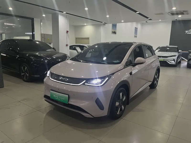BYD Dolphin