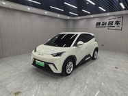 BYD Seagull 2024