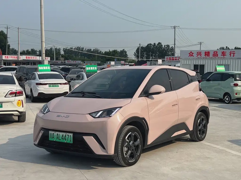 BYD Seagull