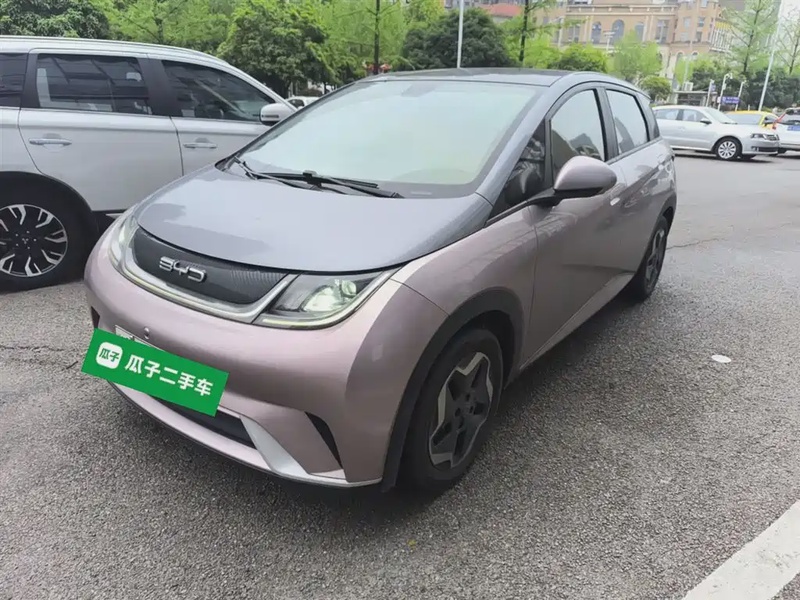BYD Dolphin
