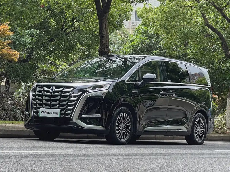 Denza D9