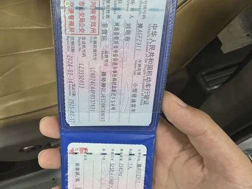 Denza N8 2024