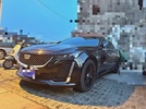 Фото 0