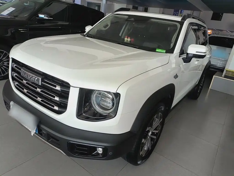 Haval Big Dog