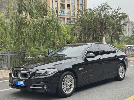 BMW 5 Series 2014