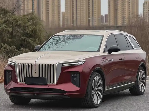 Hongqi E-HS9 2021
