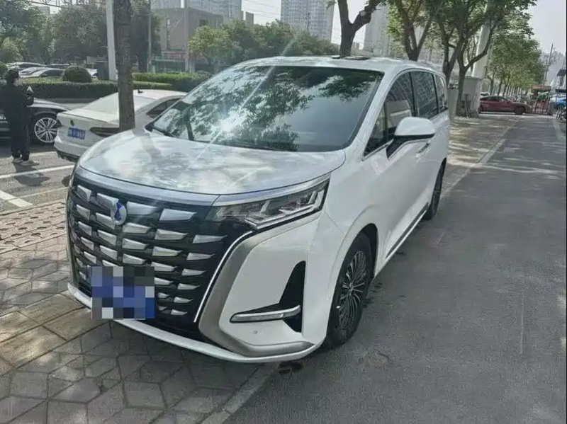 Denza D9