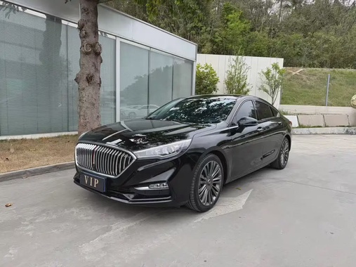 Hongqi H5 2021