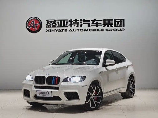 BMW X6M 2010