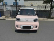 Wuling Mini 2024
