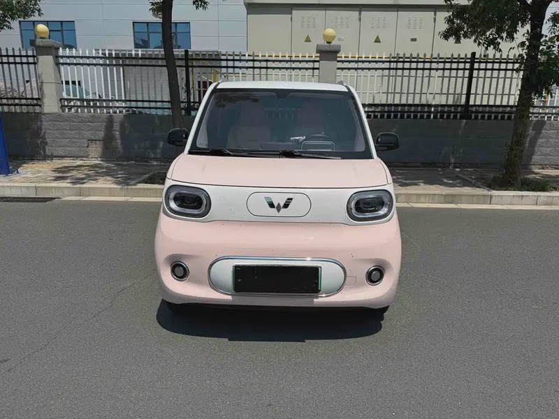 Wuling Mini