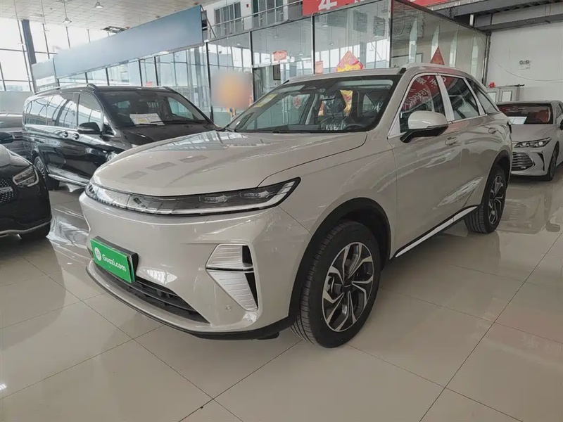 Haval Xiaolong