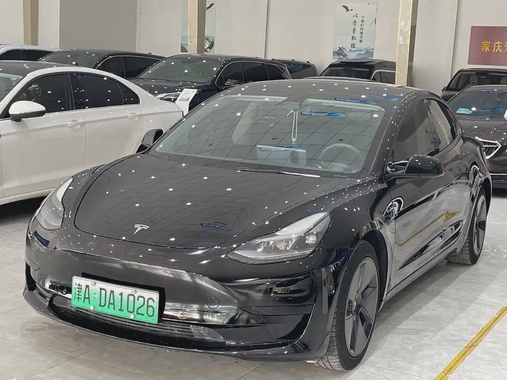 Tesla Model 3 2021