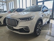 Hongqi HS5 2020