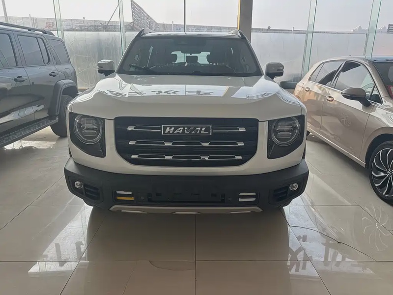 Haval Big Dog