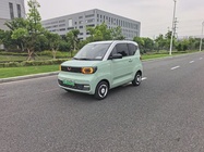 Wuling Mini 2021