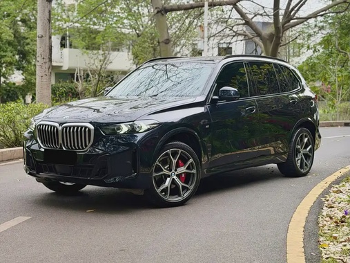 BMW X5 2024