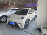 BYD Seagull 2024
