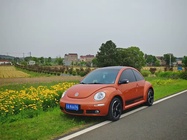 Volkswagen Beetle 2010