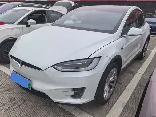 Tesla Model X 2019