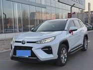 Toyota Wildlander 2021