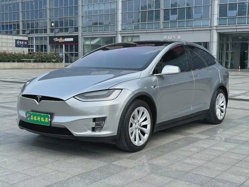 Tesla Model X 2019