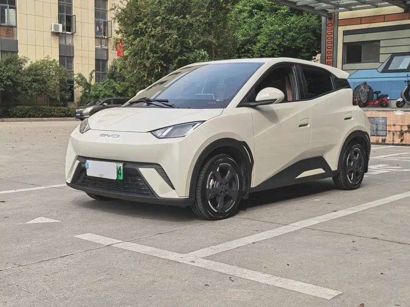 BYD Seagull