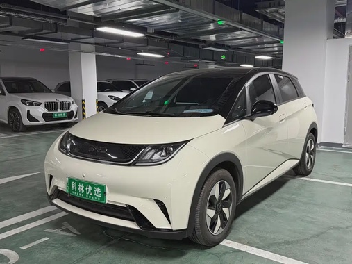 BYD Dolphin 2024