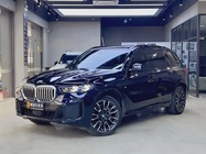 BMW X5 2025