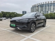 BYD MAX 2024