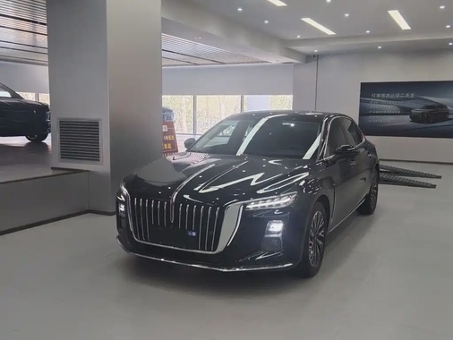Hongqi H5 2024