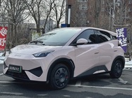BYD Seagull 2025