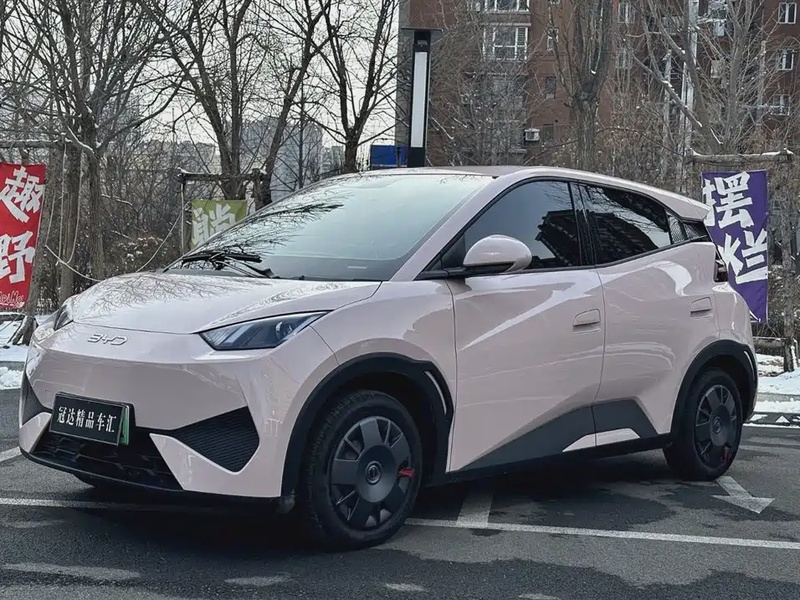 BYD Seagull