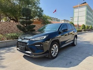 Toyota Wildlander 2021