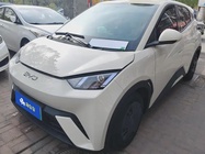BYD Seagull 2024