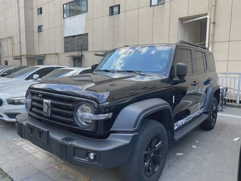 Tank 300