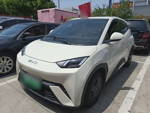 BYD Seagull 2024