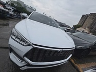 BYD PLUS 2021