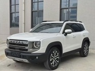 Haval Big Dog 2024